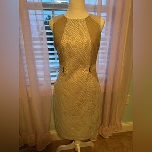 Calvin Klein shift dress